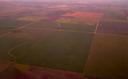 Flying into Winnipeg -- farmers fields as far as the eye can see.
